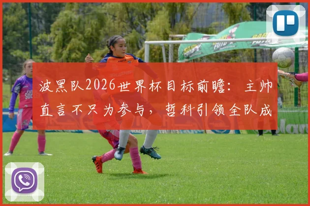 波黑队2026世界杯目标前瞻:主帅直言不只为参与,哲科引领全队成长,核心阵容解析